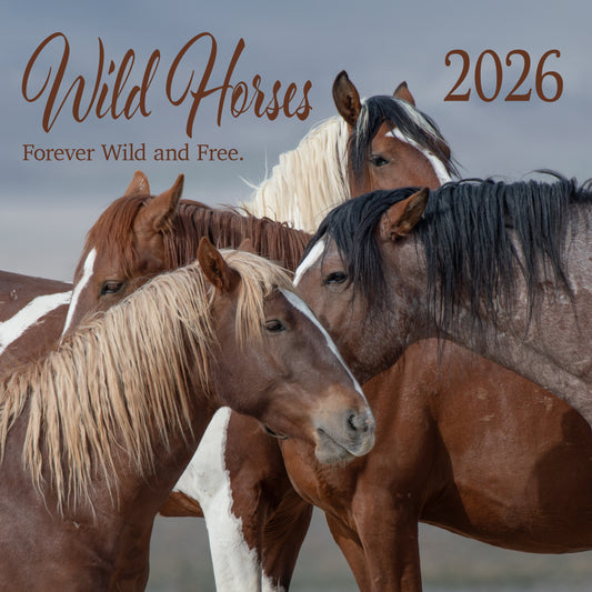 2026 Wild Horse Calendar